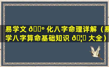 易学文 🐺 化八字命理详解（易学八字算命基础知识 🦉 大全）